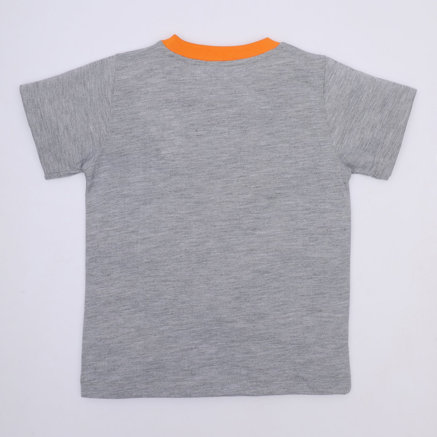 
                  
                    Grey Tiger T-shirt
                  
                